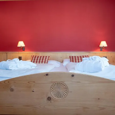 Alpina Otel 4*