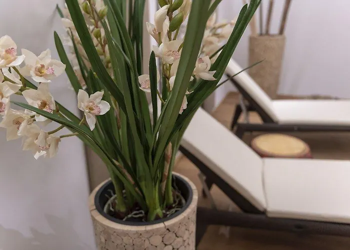 Alpina 4* Klosters-Serneus