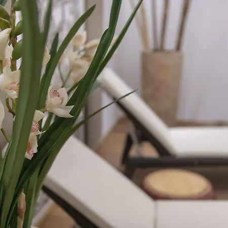 Hotel Alpina Klosters